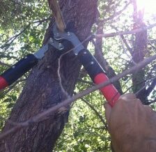 Domestic Outsourcing: Practical or Wussypants?