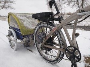 bike trailers love snow too