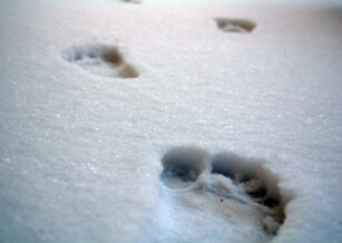 An Amazing New Prescription Medication